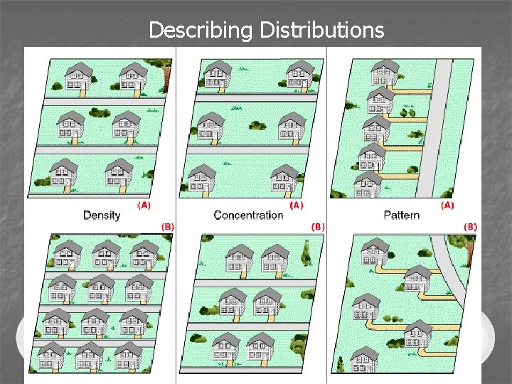 Describing Distributions 