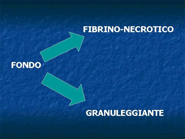 FIBRINO-NECROTICO FONDO GRANULEGGIANTE 