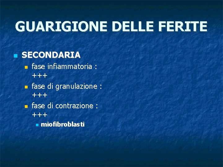 GUARIGIONE DELLE FERITE SECONDARIA fase infiammatoria : +++ fase di granulazione : +++ fase