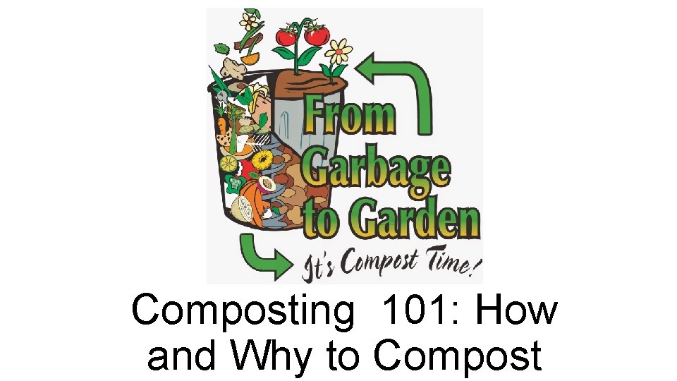 Composting 101: How and Why to Compost 