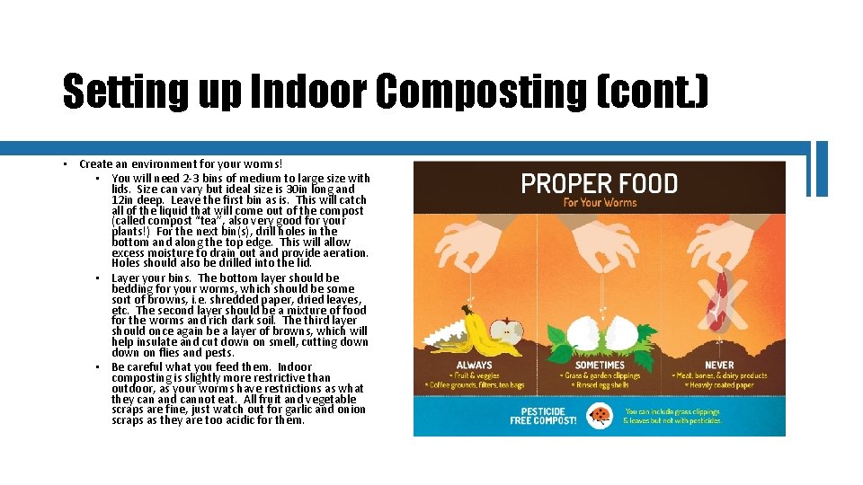 Setting up Indoor Composting (cont. ) • Create an environment for your worms! •