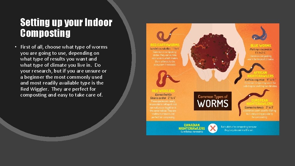 Setting up your Indoor Composting • First of all, choose what type of worms