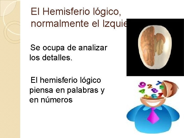 El Hemisferio lógico, normalmente el Izquierdo: Se ocupa de analizar los detalles. El hemisferio