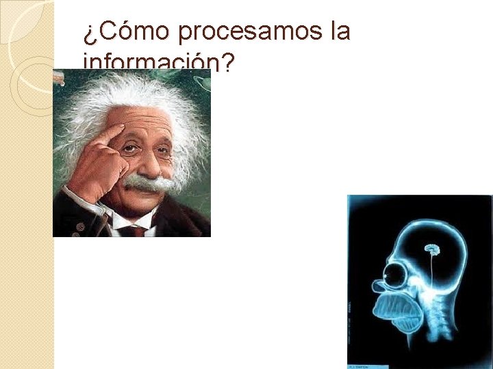 ¿Cómo procesamos la información? 