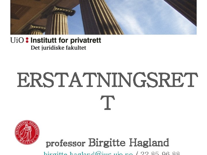 ERSTATNINGSRET T professor Birgitte Hagland 