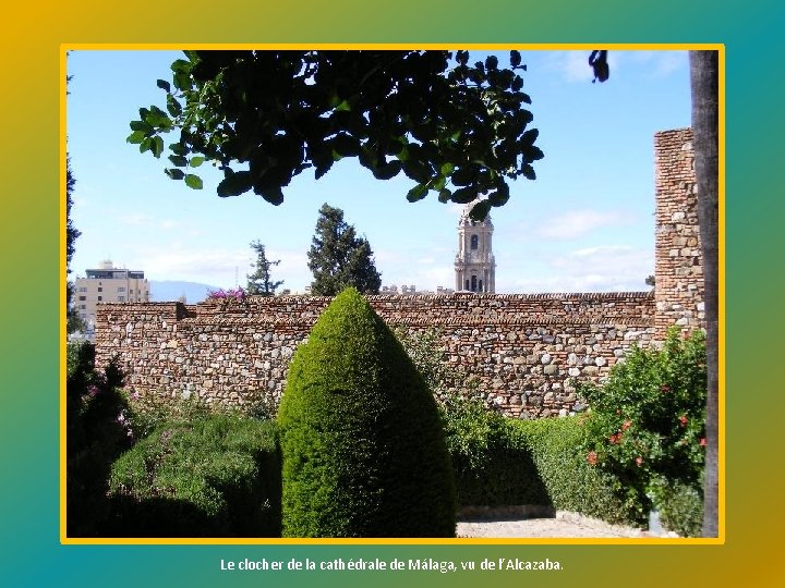 Le clocher de la cathédrale de Málaga, vu de l’Alcazaba. 