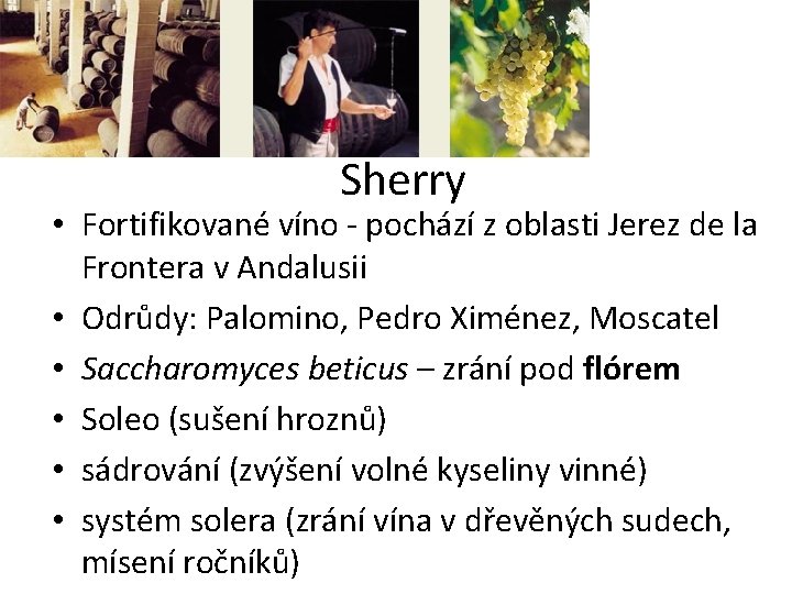 Sherry • Fortifikované víno - pochází z oblasti Jerez de la Frontera v Andalusii