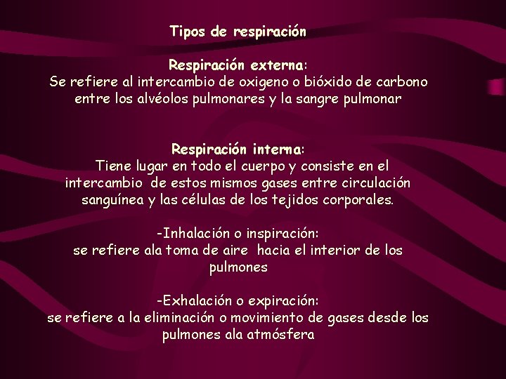 Tipos de respiración Respiración externa: Se refiere al intercambio de oxigeno o bióxido de