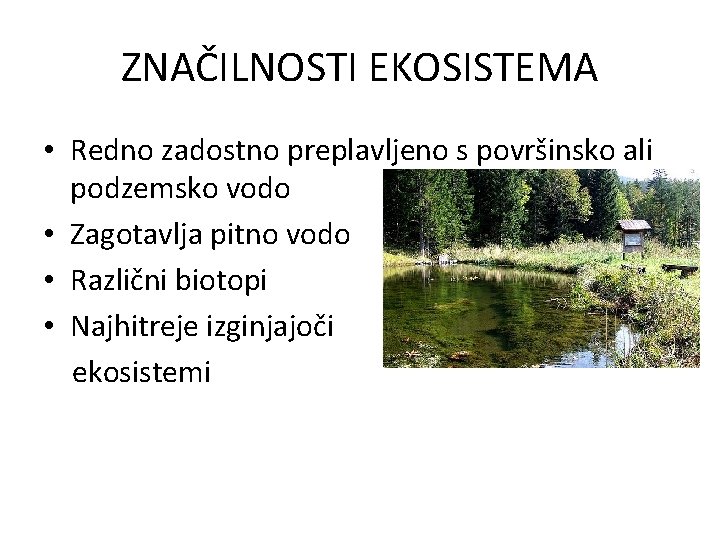 ZNAČILNOSTI EKOSISTEMA • Redno zadostno preplavljeno s površinsko ali podzemsko vodo • Zagotavlja pitno