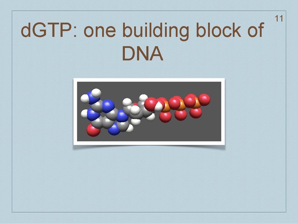 d. GTP: one building block of DNA 11 