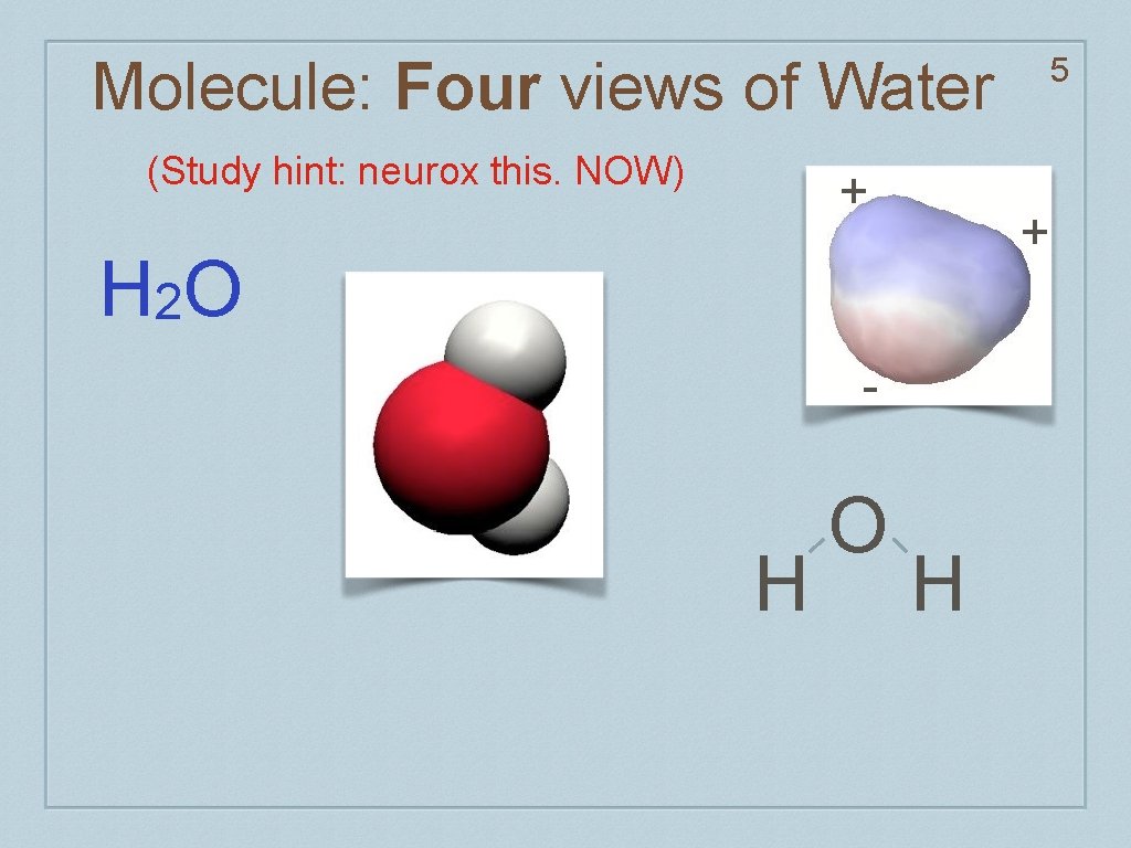 Molecule: Four views of Water (Study hint: neurox this. NOW) + + H 2