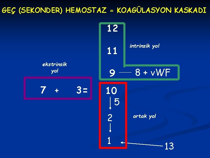 GEÇ (SEKONDER) HEMOSTAZ = KOAGÜLASYON KASKADI 12 11 ekstrinsik yol 7 + 9 3=