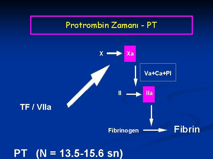 Protrombin Zamanı - PT X Xa Va+Ca+Pl II IIa TF / VIIa Fibrinogen PT