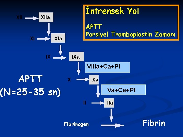 XII İntrensek Yol XIIa XI APTT Parsiyel Tromboplastin Zamanı XIa IX APTT (N=25 -35