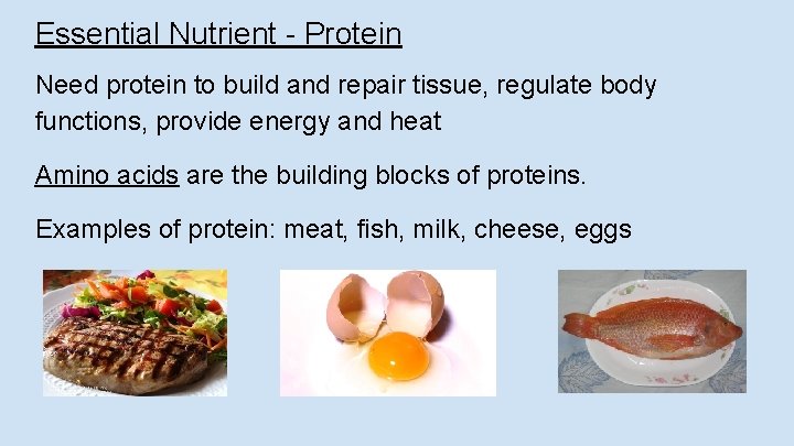 Essential Nutrient - Protein Need protein to build and repair tissue, regulate body functions,