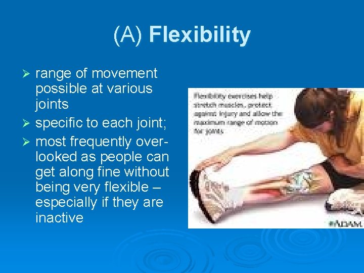 (A) Flexibility range of movement possible at various joints Ø specific to each joint;
