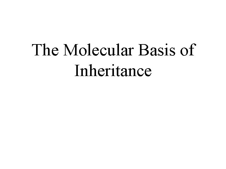 The Molecular Basis of Inheritance 
