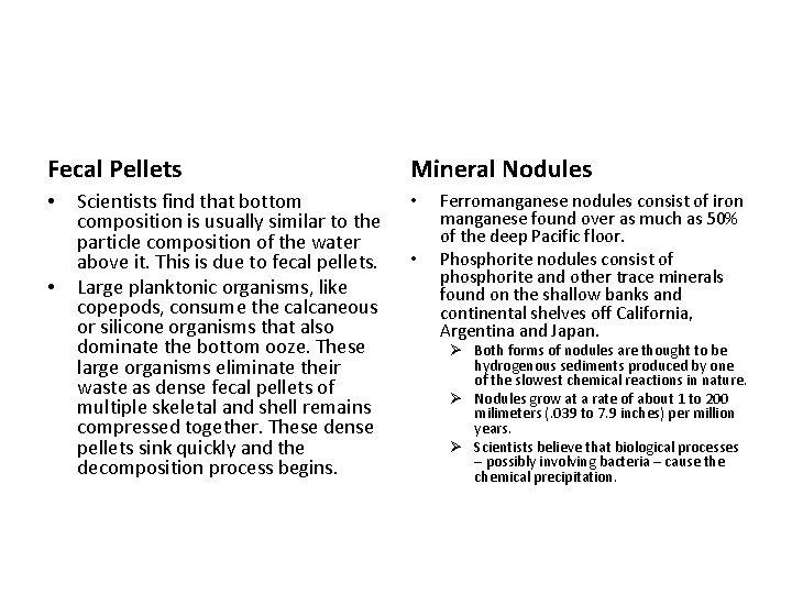 Fecal Pellets • • Scientists find that bottom composition is usually similar to the Fecal Pellets • • Scientists find that bottom composition is usually similar to the