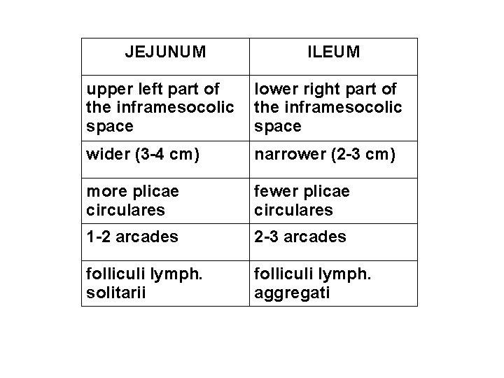 JEJUNUM ILEUM upper left part of the inframesocolic space lower right part of the JEJUNUM ILEUM upper left part of the inframesocolic space lower right part of the