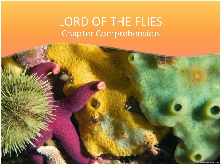 LORD OF THE FLIES Chapter Comprehension 