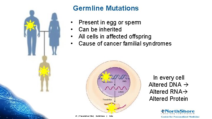 Germline Mutations • • Present in egg or sperm Can be inherited All cells