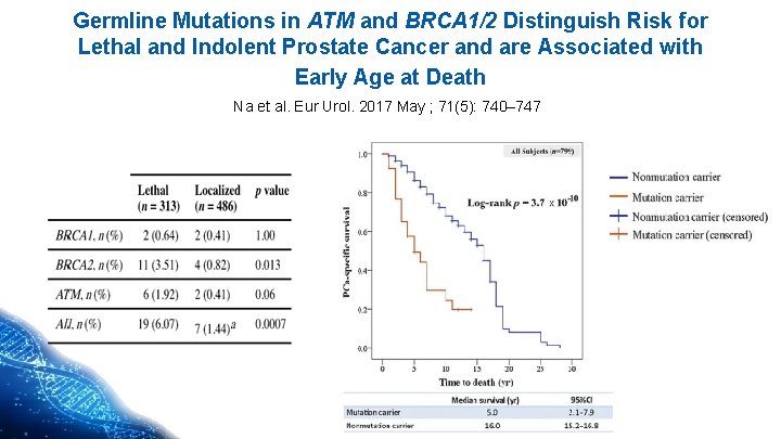 Germline Mutations in ATM and BRCA 1/2 Distinguish Risk for Lethal and Indolent Prostate