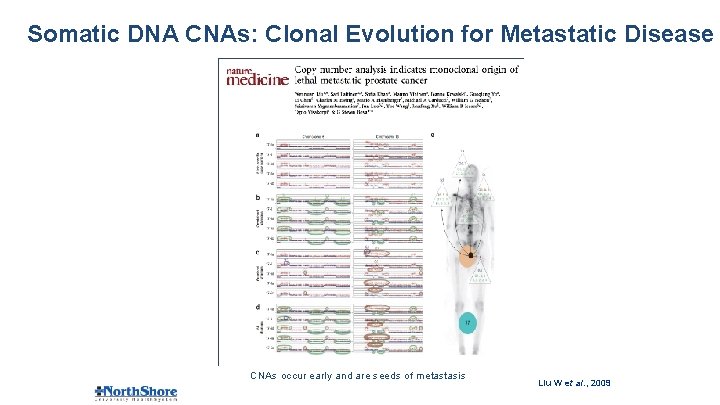 Somatic DNA CNAs: Clonal Evolution for Metastatic Disease CNAs occur early and are seeds