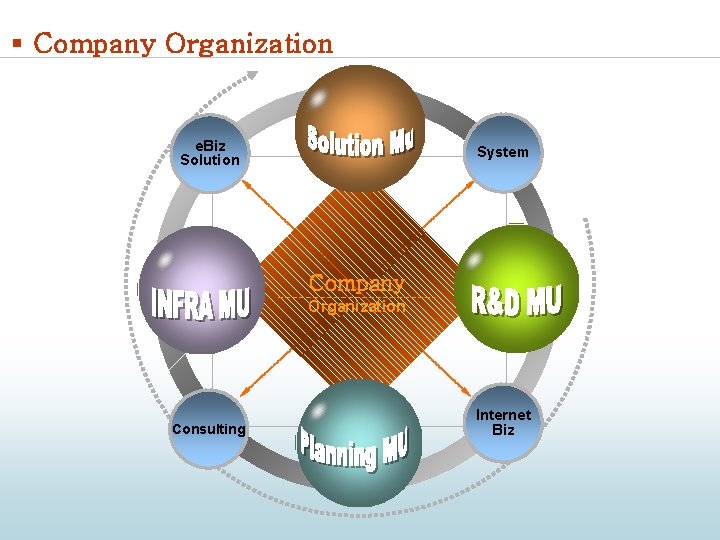 § Company Organization e. Biz Solution System Company Organization Consulting Internet Biz 