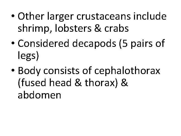  • Other larger crustaceans include shrimp, lobsters & crabs • Considered decapods (5