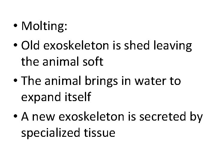  • Molting: • Old exoskeleton is shed leaving the animal soft • The