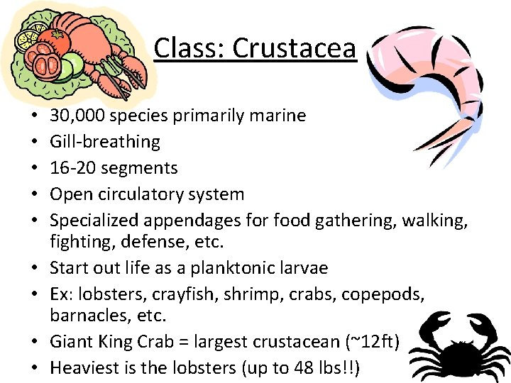 Class: Crustacea • • • 30, 000 species primarily marine Gill-breathing 16 -20 segments