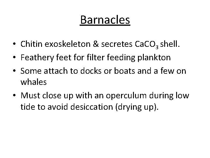 Barnacles • Chitin exoskeleton & secretes Ca. CO 3 shell. • Feathery feet for