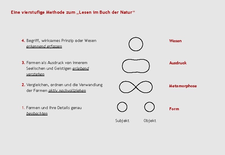 Eine vierstufige Methode zum „Lesen im Buch der Natur“ 4. Begriff, wirksames Prinzip oder