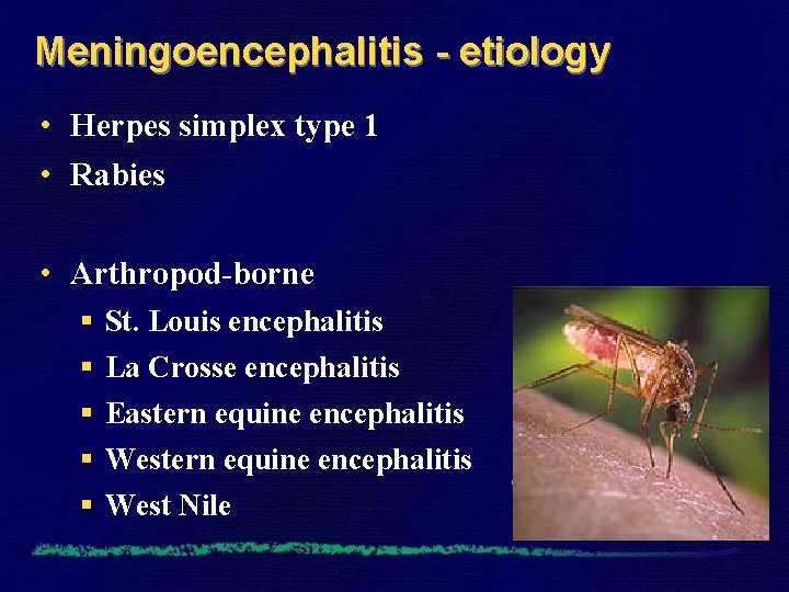 Meningoencephalitis - etiology • Herpes simplex type 1 • Rabies • Arthropod-borne § §