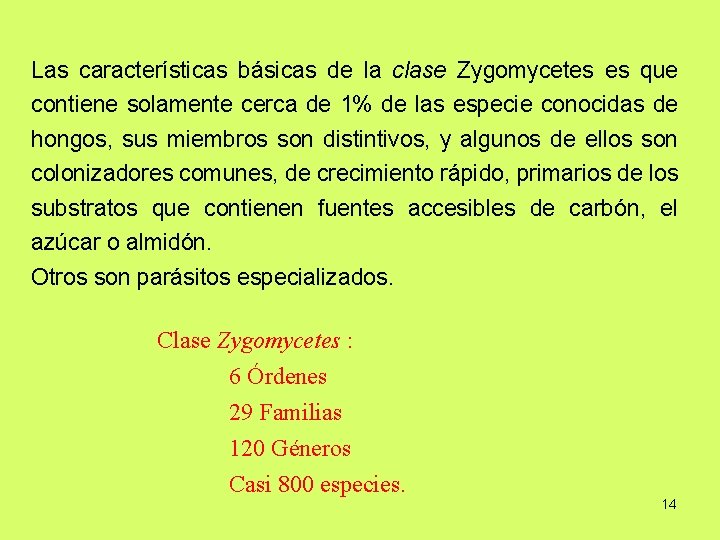 Las características básicas de la clase Zygomycetes es que contiene solamente cerca de 1%