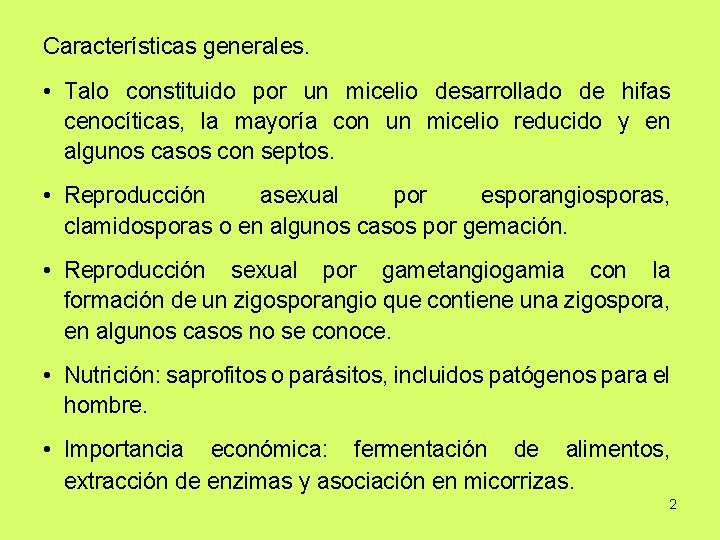 Características generales. • Talo constituido por un micelio desarrollado de hifas cenocíticas, la mayoría