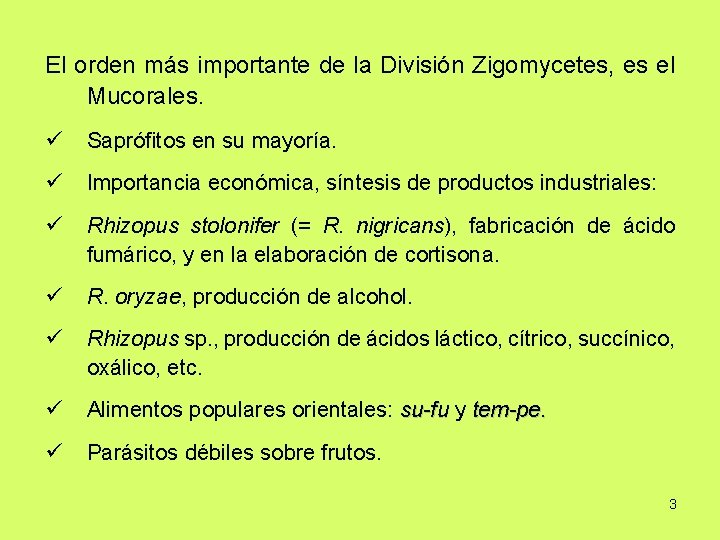 El orden más importante de la División Zigomycetes, es el Mucorales. ü Saprófitos en