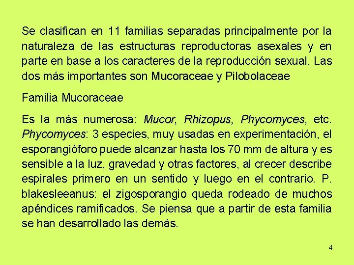 Se clasifican en 11 familias separadas principalmente por la naturaleza de las estructuras reproductoras