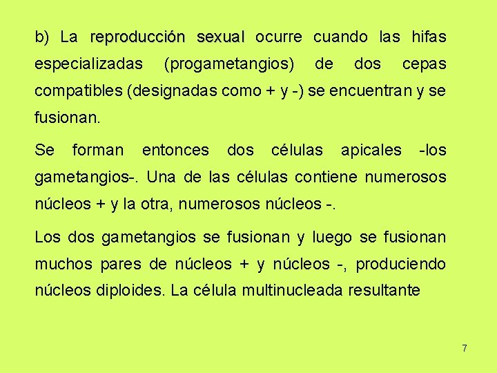 b) La reproducción sexual ocurre cuando las hifas especializadas (progametangios) de dos cepas compatibles