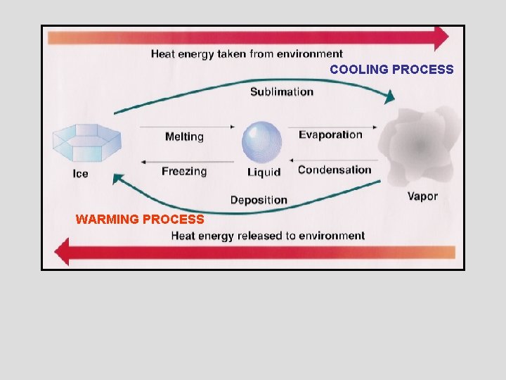 COOLING PROCESS WARMING PROCESS 