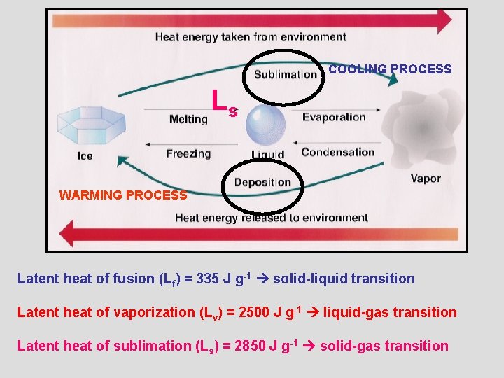 COOLING PROCESS Ls WARMING PROCESS Latent heat of fusion (Lf) = 335 J g-1