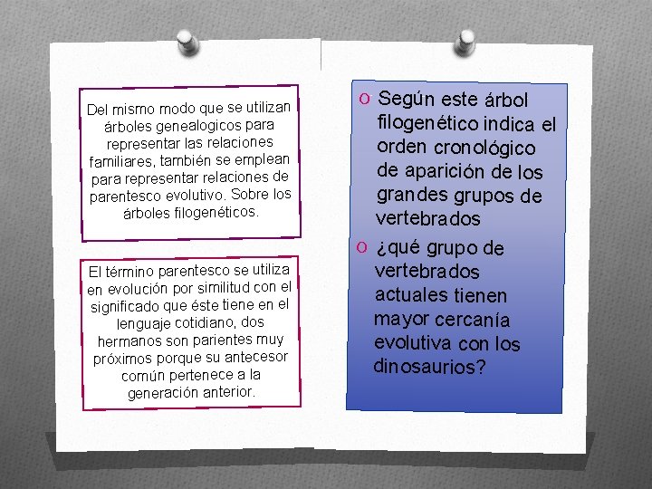 Del mismo modo que se utilizan árboles genealogicos para representar las relaciones familiares, también