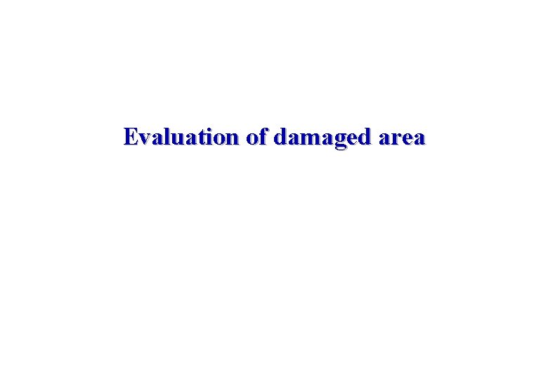 Evaluation of damaged area 