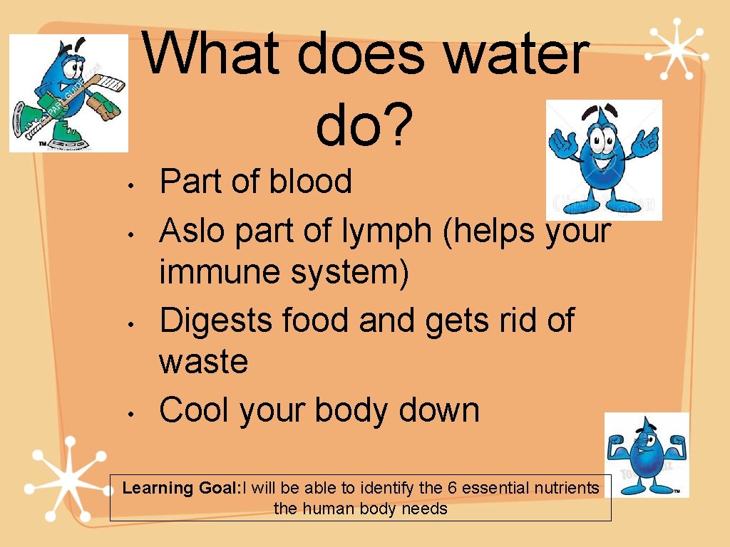 What does water do? • • Part of blood Aslo part of lymph (helps