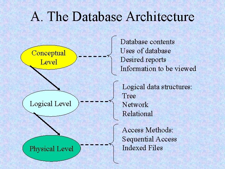 A. The Database Architecture Conceptual Level Database contents Uses of database Desired reports Information A. The Database Architecture Conceptual Level Database contents Uses of database Desired reports Information