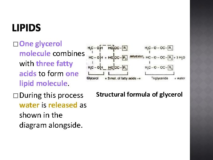 LIPIDS � One glycerol molecule combines with three fatty acids to form one lipid