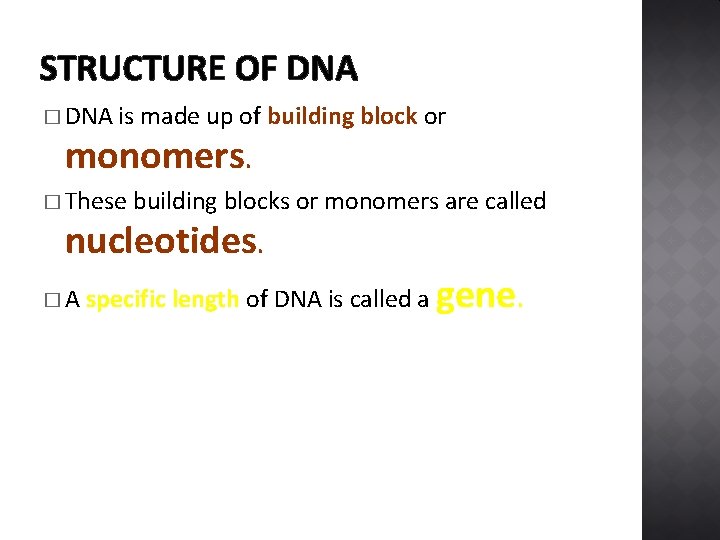 STRUCTURE OF DNA � DNA is made up of building block or monomers. �