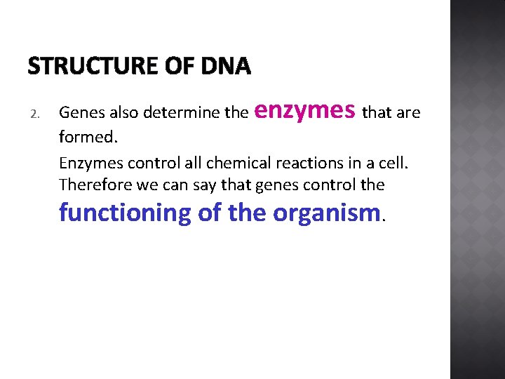 STRUCTURE OF DNA 2. Genes also determine the enzymes that are formed. Enzymes control