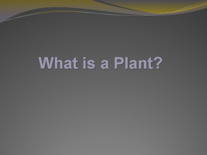 What is a Plant? 
