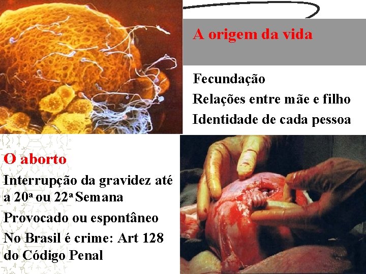 A origem da vida Fecundação Relações entre mãe e filho Identidade de cada pessoa A origem da vida Fecundação Relações entre mãe e filho Identidade de cada pessoa